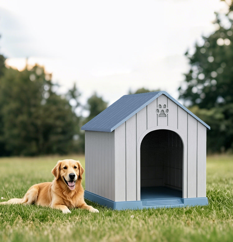 Dog House
